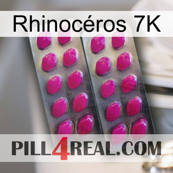 Rhinocéros 7K 10